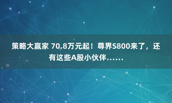 策略大赢家 70.8万元起！尊界S800来了，还有这些A股小伙伴……