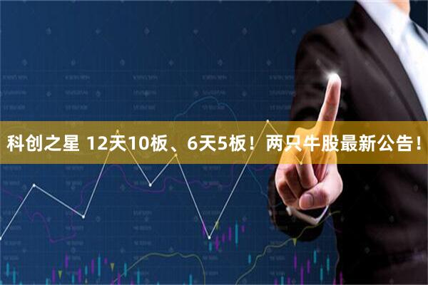 科创之星 12天10板、6天5板！两只牛股最新公告！